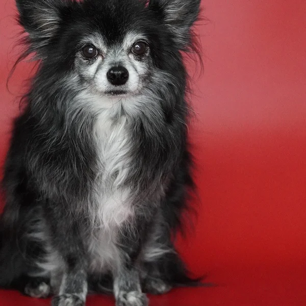 易游体育捕鱼游戏